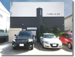 �n�C�Z���[���ݕ{